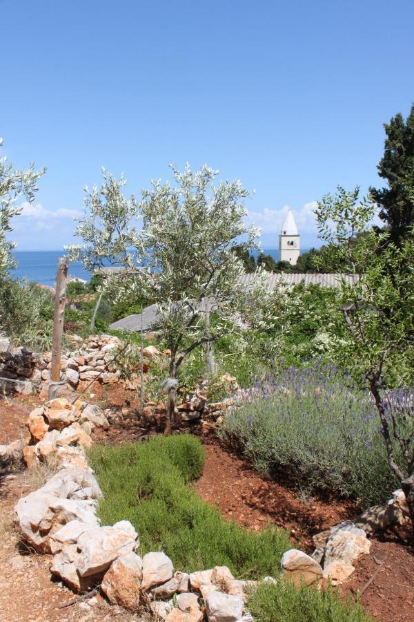 Apartment Mali Losinj 7879B エクステリア 写真