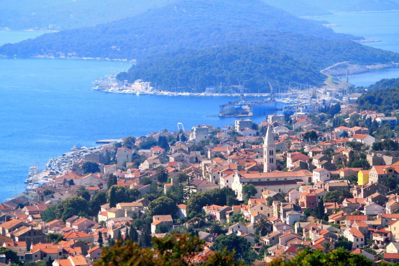 Apartment Mali Losinj 7879B エクステリア 写真